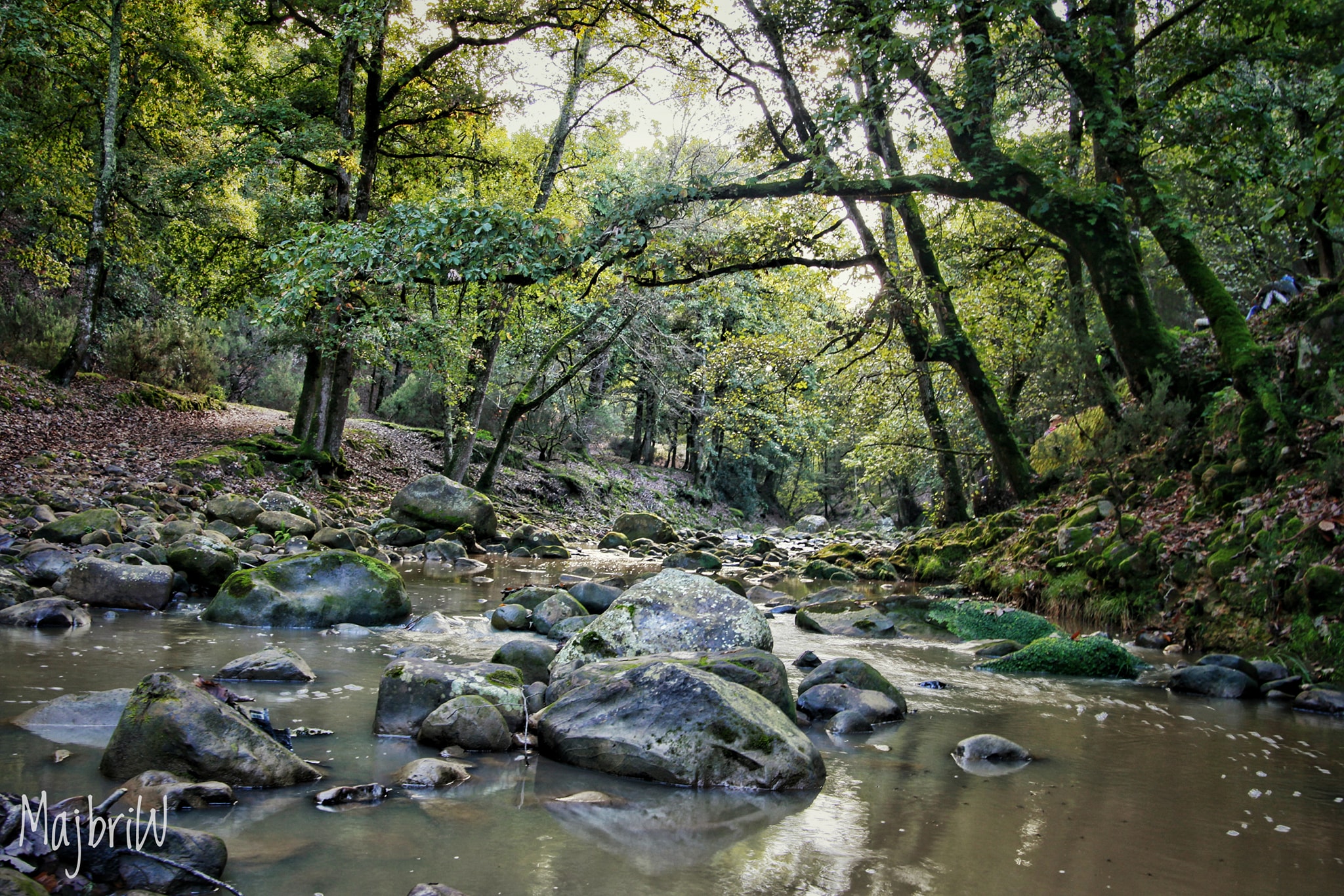 Parc national de Oued Zen - Idwey