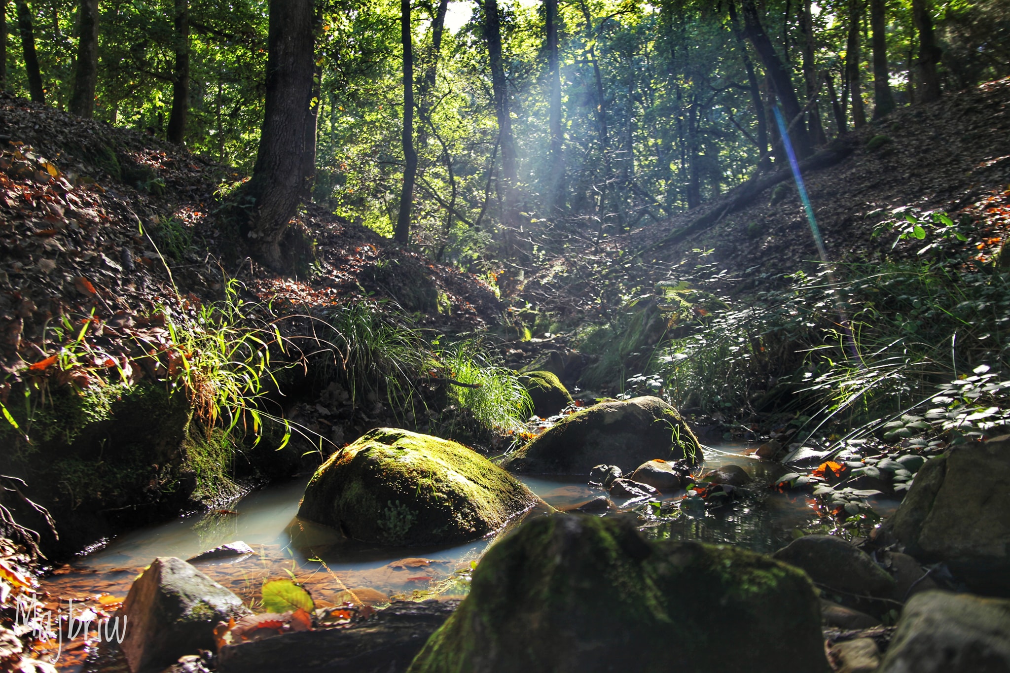 Parc national de Oued Zen - Idwey