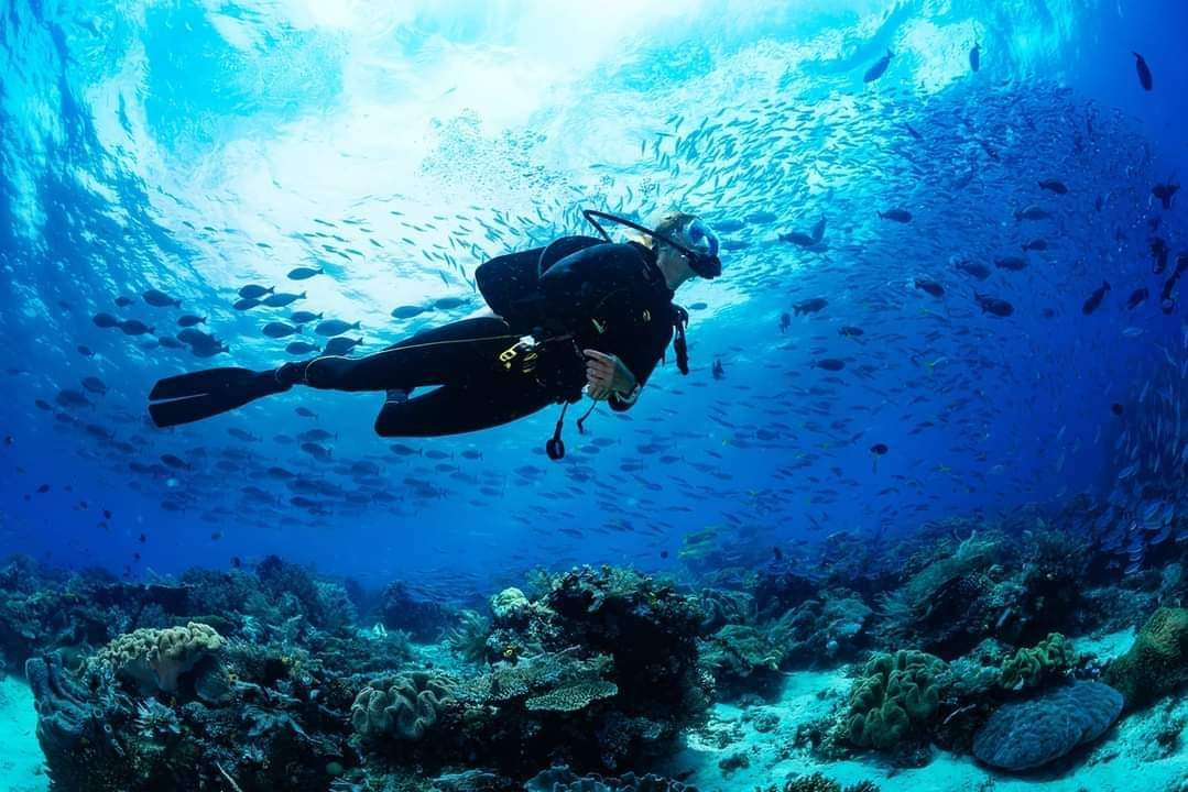 Plongée sous-marine à Mahdia